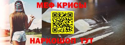 стаф Кингисепп