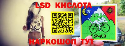 стаф Кингисепп