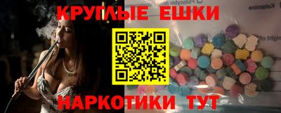 стаф Кингисепп