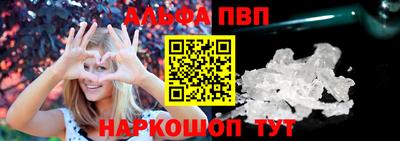 стаф Кингисепп