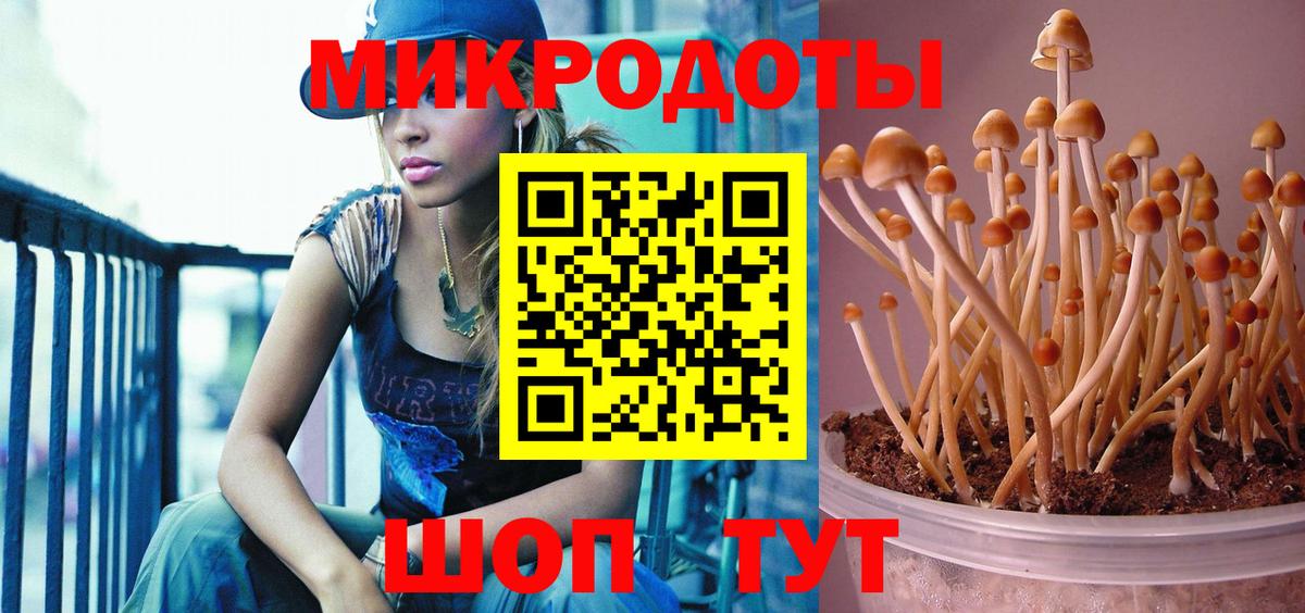 Галлюциногенные грибы Cubensis Клин